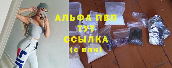 СК Краснослободск