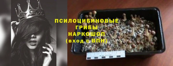 прущие грибы Краснотурьинск