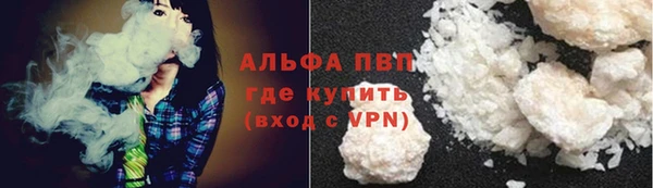 прущие грибы Краснотурьинск