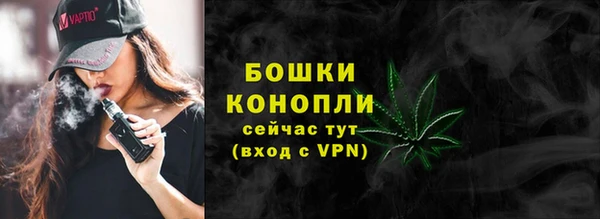 СК Краснослободск