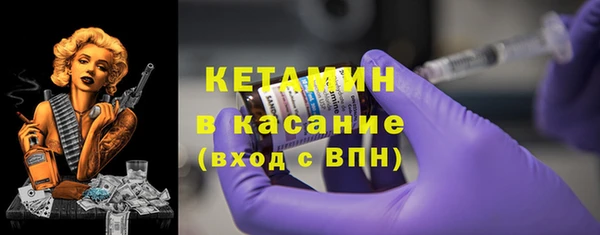 прущие грибы Краснотурьинск