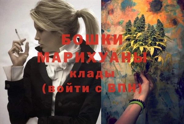 прущие грибы Краснотурьинск