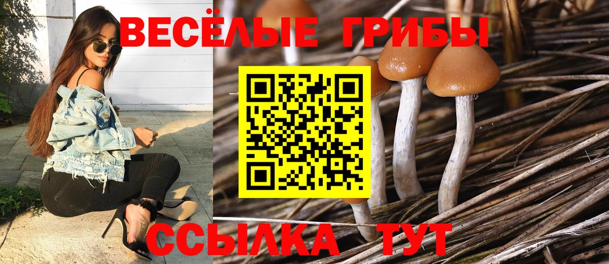 Псилоцибиновые грибы ЛСД Иваново