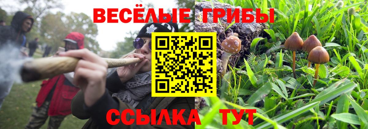 Галлюциногенные грибы ЛСД  Иваново 