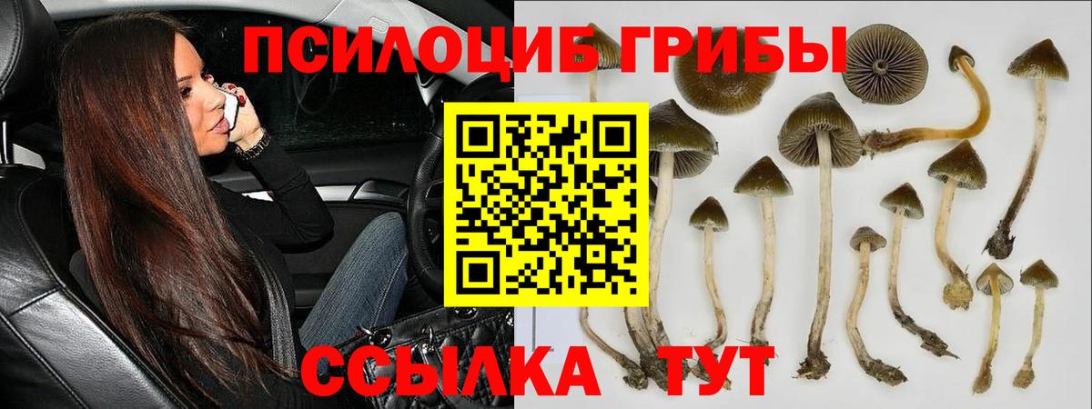 Псилоцибиновые грибы мицелий  что такое   Вход с VPN  Иваново  Галлюциногенные грибы GOLDEN TEACHER 