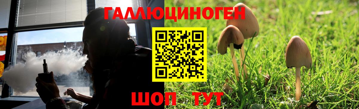 Псилоцибиновые грибы ЛСД Иваново